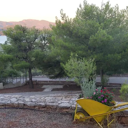 Pines Sea View 170 Sqm In Theologos Theologos (Phthiotis)