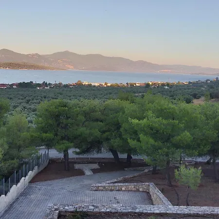 Pines Sea View 170 Sqm In Theologos